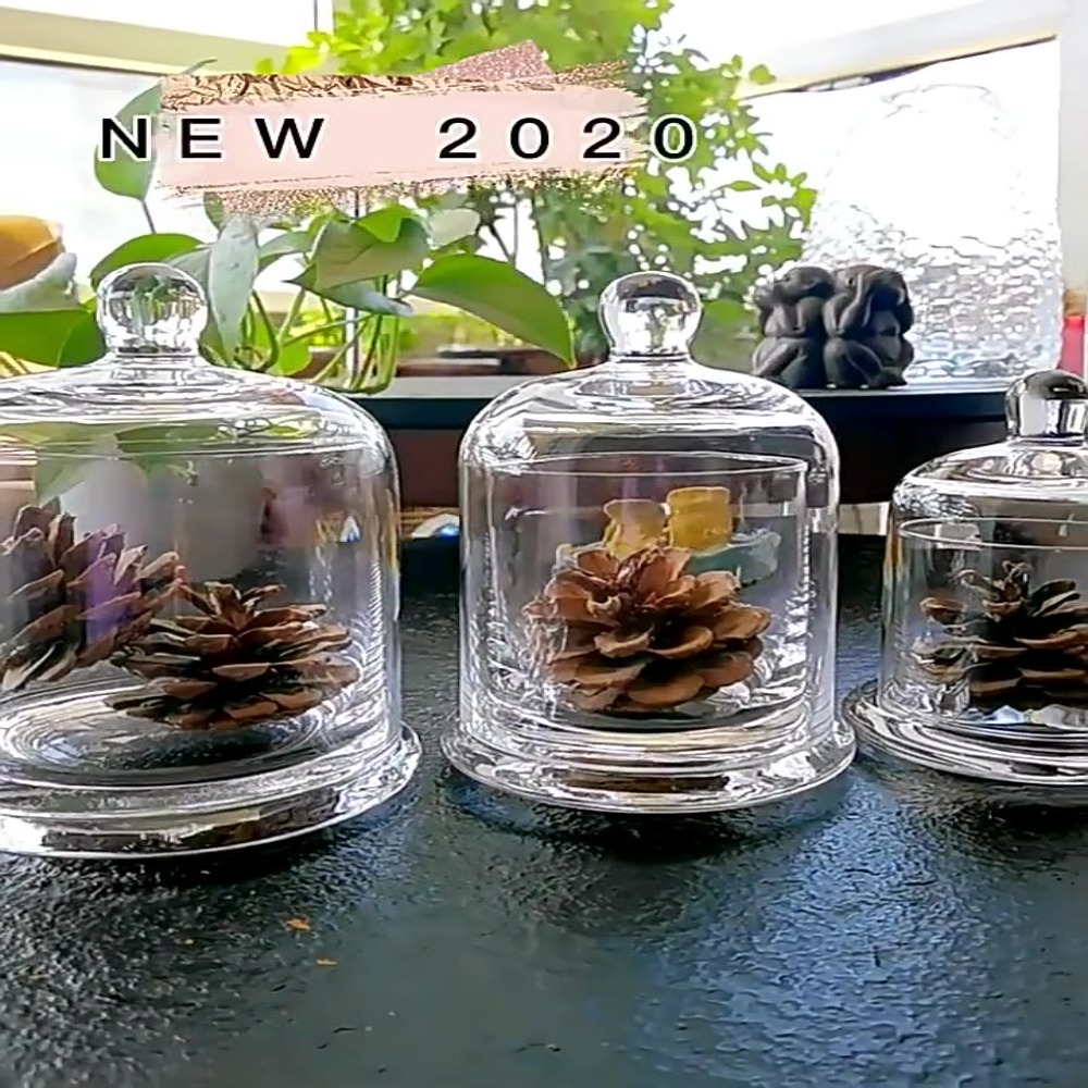 Candle Making Jars With Lids - Стеклянная банка для хранения, цветок вечной